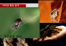 보행 로봇 발표자료 3페이지