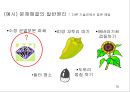 창의적 문제해결 이론 -트리즈[TRIZ]에 대해서 15페이지
