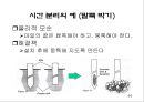 창의적 문제해결 이론 -트리즈[TRIZ]에 대해서 44페이지