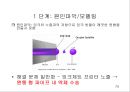 창의적 문제해결 이론 -트리즈[TRIZ]에 대해서 75페이지