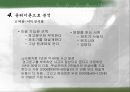 [공학윤리] [사례31] 제초기의 안전장치.ppt 13페이지