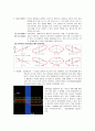 [화학공학 실험] 브루스터(Brewster)의 법칙 - Polarization of light-Malus\'s law, phase plate Brewster Angle , Total internal Reflection 4페이지