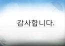 [관광개발론] 강원도 관광개발 계획 18페이지