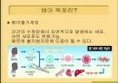 [의학] 인간 배아 줄기세포 연구 2페이지