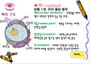 해부생리학 - 세포의구조와 기능[동물, 식물세포] 5페이지