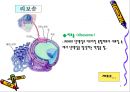 해부생리학 - 세포의구조와 기능[동물, 식물세포] 7페이지