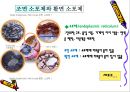 해부생리학 - 세포의구조와 기능[동물, 식물세포] 8페이지