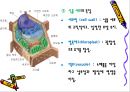 해부생리학 - 세포의구조와 기능[동물, 식물세포] 17페이지