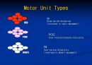 [의학] 운동 단위[TYPE OF MOTOR UNIT]에 관해 6페이지