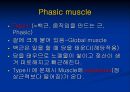 [의학] 운동 단위[TYPE OF MOTOR UNIT]에 관해 10페이지