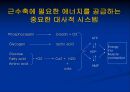 [의학] 운동 단위[TYPE OF MOTOR UNIT]에 관해 11페이지