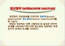 항생제 감수성 테스트 3페이지