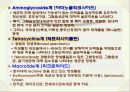 항생제 감수성 테스트 6페이지
