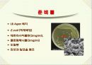 항생제 감수성 테스트 10페이지