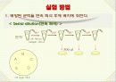 항생제 감수성 테스트 11페이지