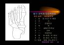 한방 진단학 13페이지