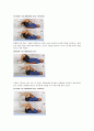 [물리치료운동] core exercise[코어 운동]에 대해서 5페이지