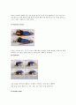 [물리치료운동] core exercise[코어 운동]에 대해서 6페이지