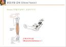 [의학] 수부 해부학[Anatomy] 3페이지