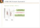 [의학] 수부 해부학[Anatomy] 8페이지