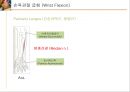 [의학] 수부 해부학[Anatomy] 11페이지
