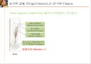 [의학] 수부 해부학[Anatomy] 17페이지