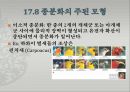 생물의 진화 ppt 12페이지