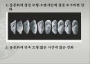 생물의 진화 ppt 16페이지