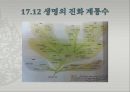 생물의 진화 ppt 21페이지