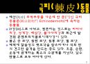 무척추동물 - 극피동물에 대해서 3페이지