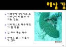 무척추동물 - 극피동물에 대해서 19페이지