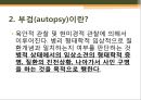 [조직학] 검체의 절취와 처리법, 조직 검체의 종류 8페이지
