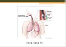 [조직학] 검체의 절취와 처리법, 조직 검체의 종류 28페이지