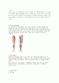 스포츠 선수의 천장관절[Sacroiliac Joint]의 전반적인 이해 및 손상, 치료, 재활 3페이지