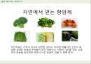 항암제 프레젠테이션 6페이지