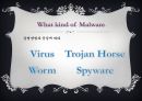 \'악성코드\'(Malware) 의 정의, 종류 및 특징. 3페이지