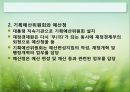 예산제도의 변천  23페이지