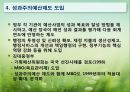 예산제도의 변천  32페이지