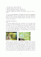 커뮤니케이션과 문화  4페이지