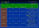 Bakery 창업을 위한 성공적인 Marketing 전략  13페이지