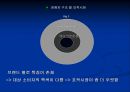 Bakery 창업을 위한 성공적인 Marketing 전략  19페이지