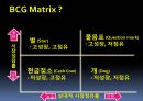 BCG Matrix 4페이지