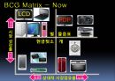 BCG Matrix 12페이지