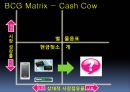 BCG Matrix 15페이지