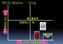 BCG Matrix 16페이지