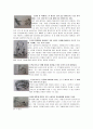 아동주제통각검사(C.A.T)  4페이지