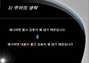 국어표현과 화법 - 독립관계와 비문 - 5페이지