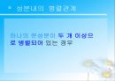 병렬관계와 비문 6페이지
