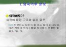 외국어투 문장 3페이지