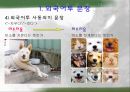 외국어투 문장 9페이지